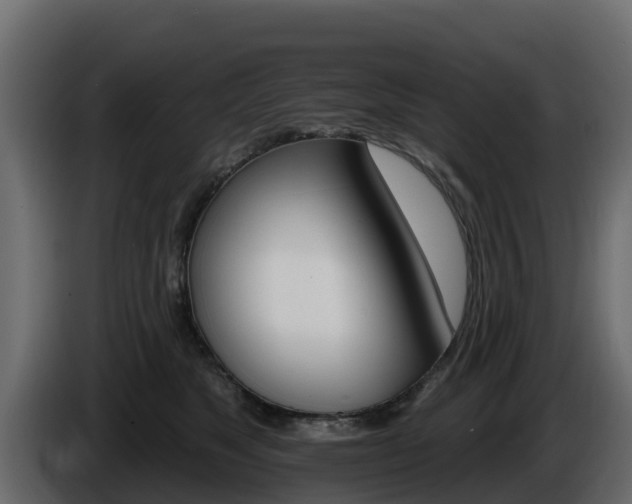 X0000086020517200703230935