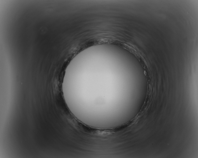 X0000086020520200703230935
