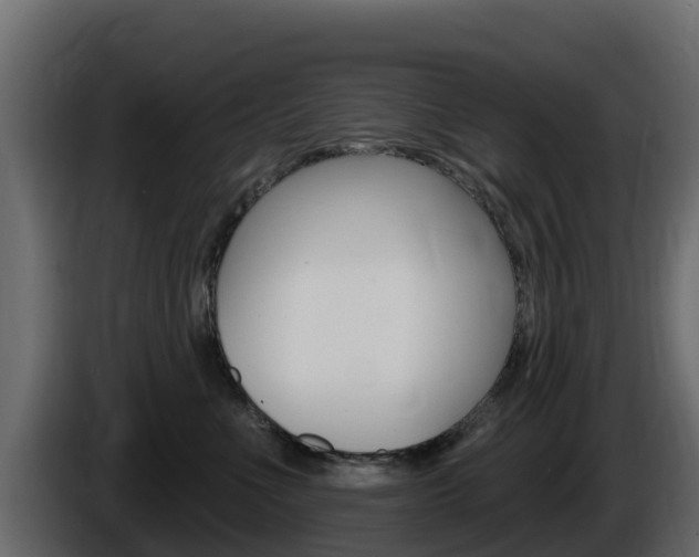 X0000086020523200703230935