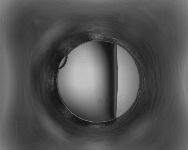 X0000086020525200703230935