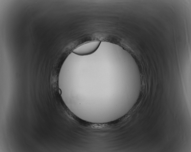X0000086020526200703230935