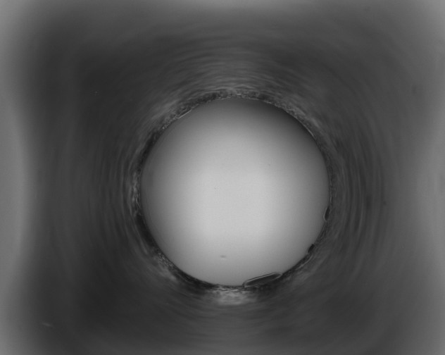X0000086020528200703230935