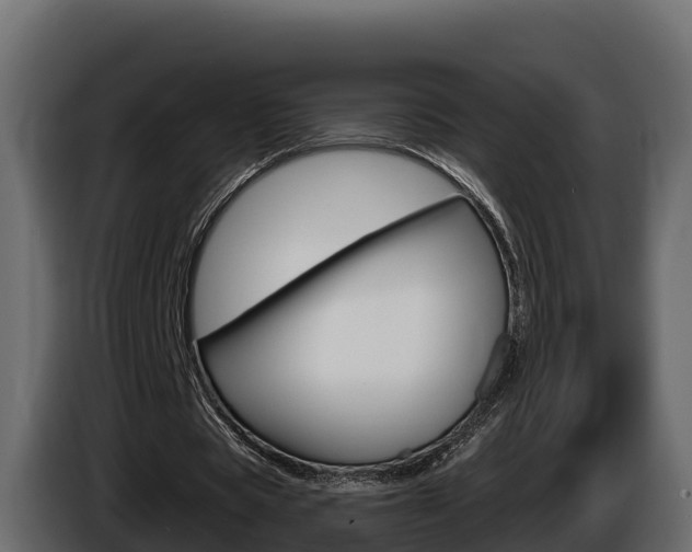 X0000086020529200703230935