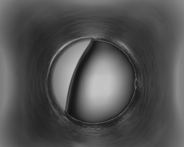 X0000086020532200703230935