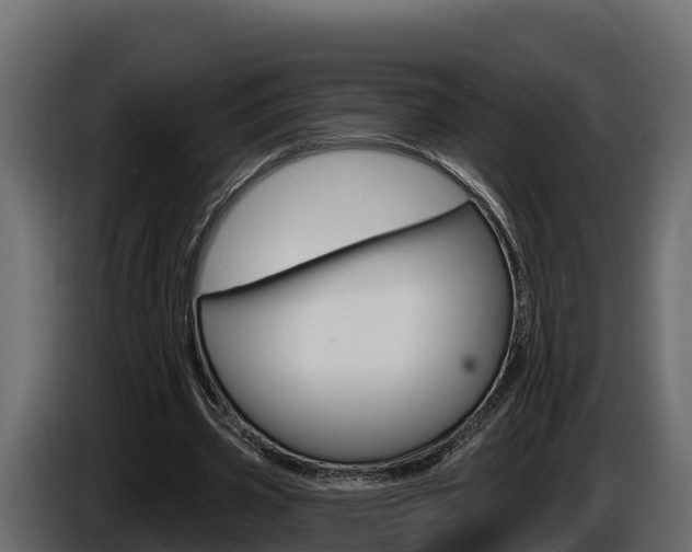 X0000086020533200703230935