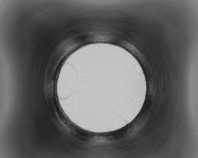 X0000086020534200703230935