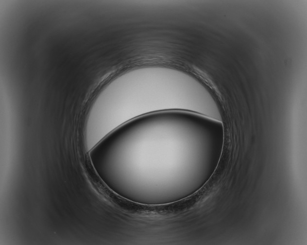 X0000086020538200703230935