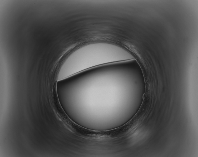 X0000086020539200703230935