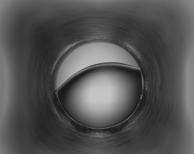 X0000086020540200703230935