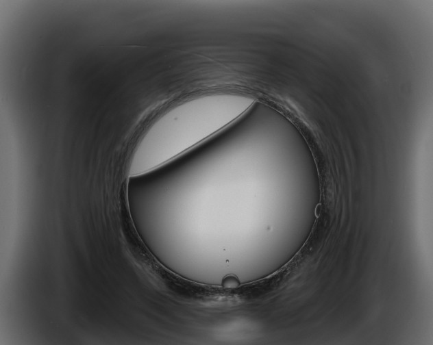 X0000086020543200703230935