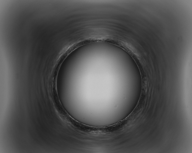 X0000086020544200703230935