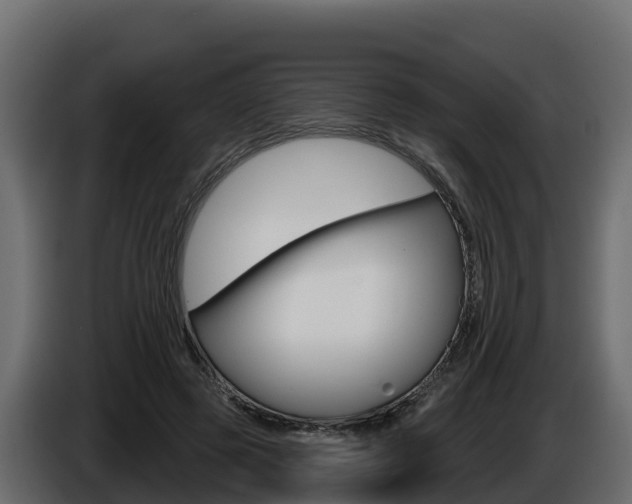 X0000086020545200703230935
