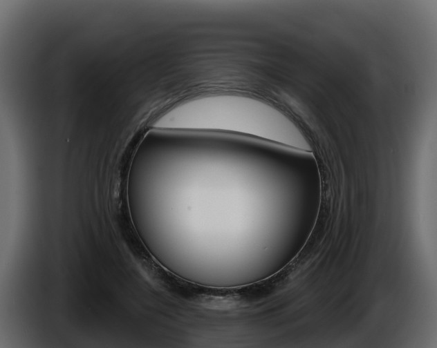 X0000086020548200703230935