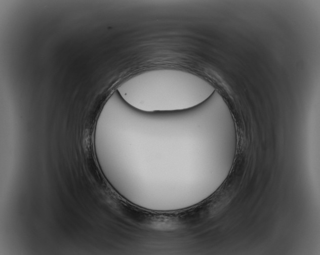 X0000086020549200703230935
