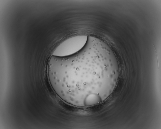 X0000086020550200703230935