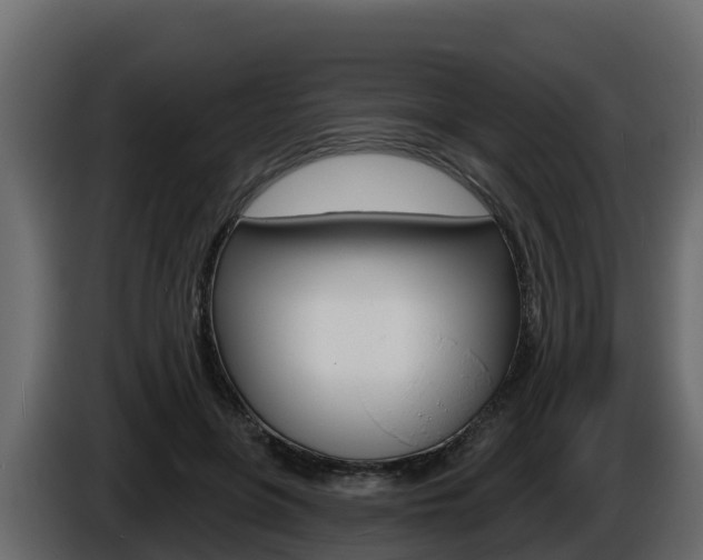 X0000086020551200703230935