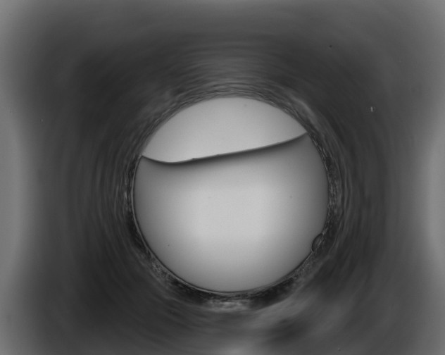 X0000086020553200703230935