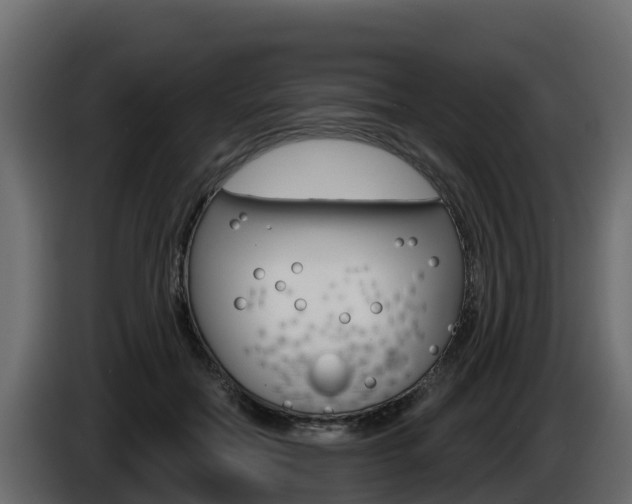 X0000086020554200703230935