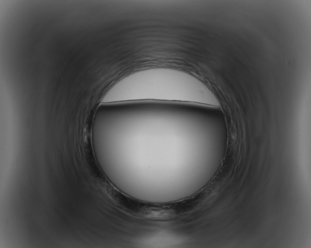 X0000086020555200703230935