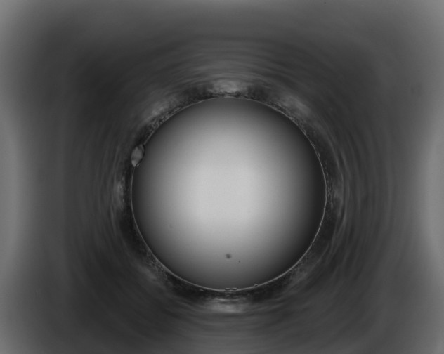 X0000086020556200703230935