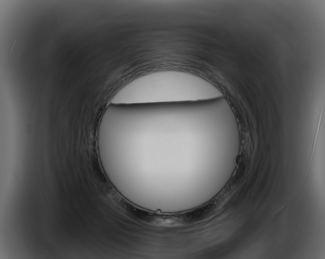 X0000086020557200703230935
