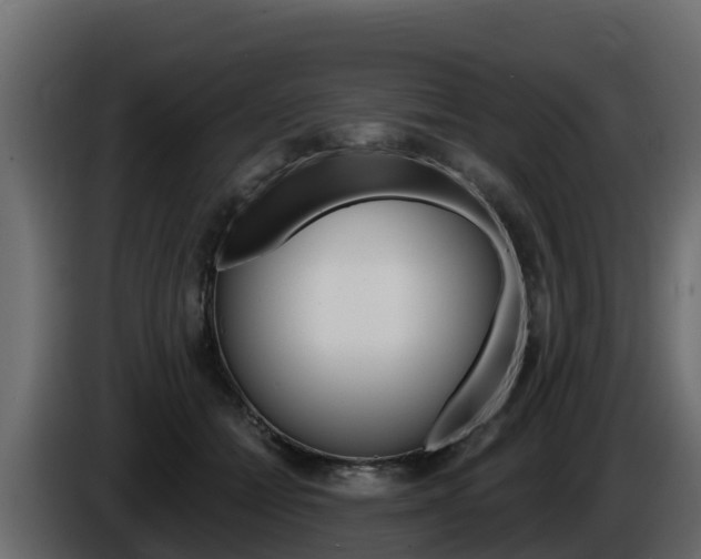 X0000086020558200703230935