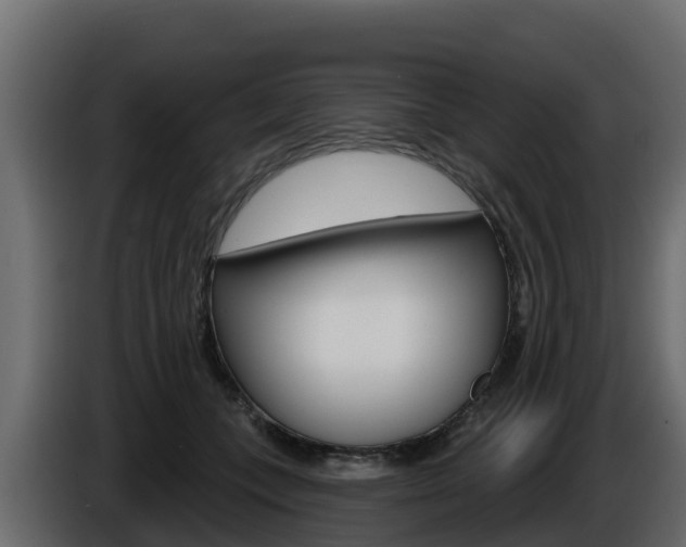X0000086020559200703230935