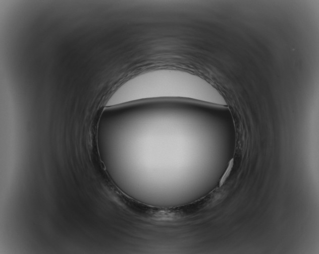 X0000086020562200703230935
