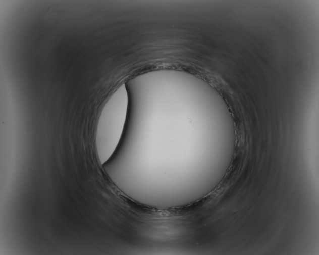 X0000086020565200703230935