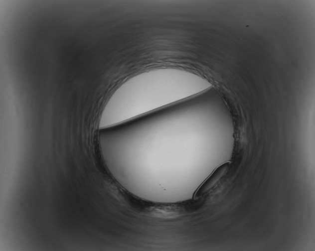 X0000086020567200703230935