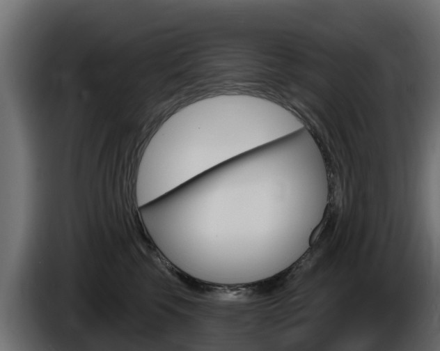 X0000086020569200703230935