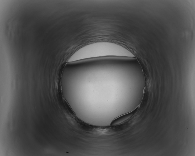 X0000086020570200703230935