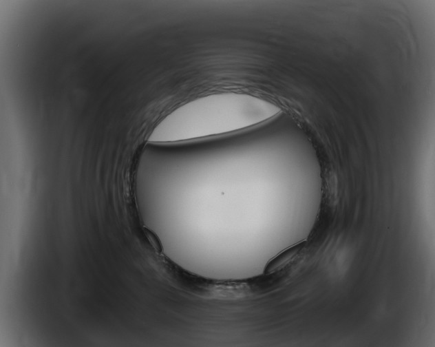 X0000086020571200703230935