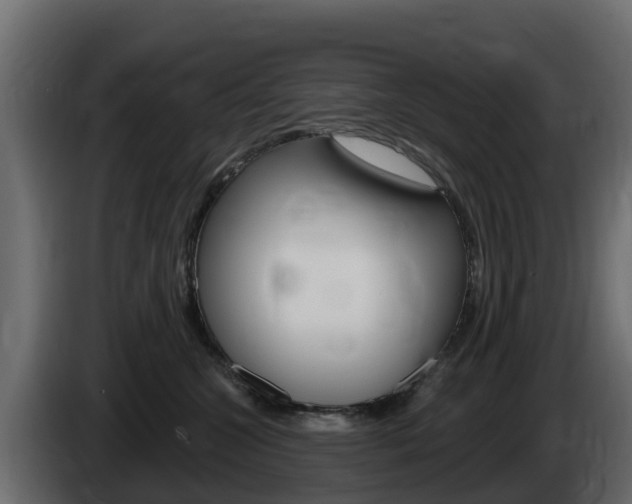 X0000086020572200703230935