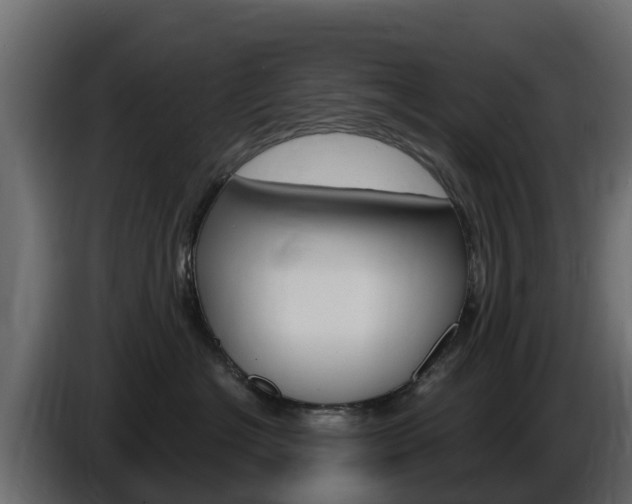 X0000086020574200703230935