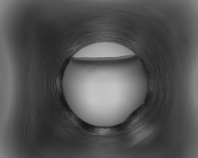 X0000086020575200703230935