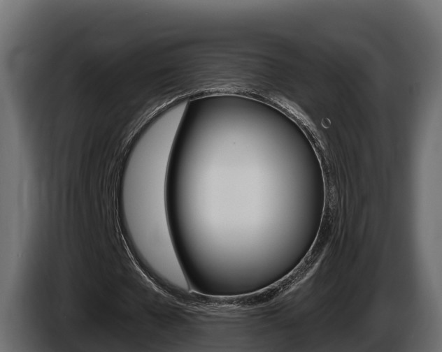 X0000086020577200703230935
