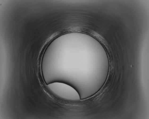 X0000086020578200703230934