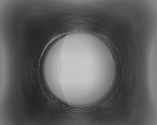 X0000086020579200703230934