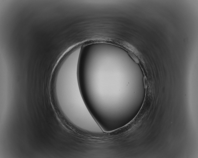 X0000086020580200703230934