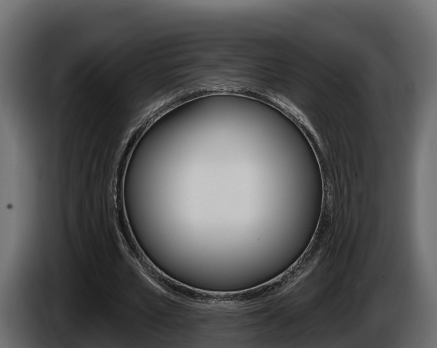 X0000086020581200703230934