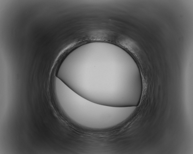 X0000086020583200703230934