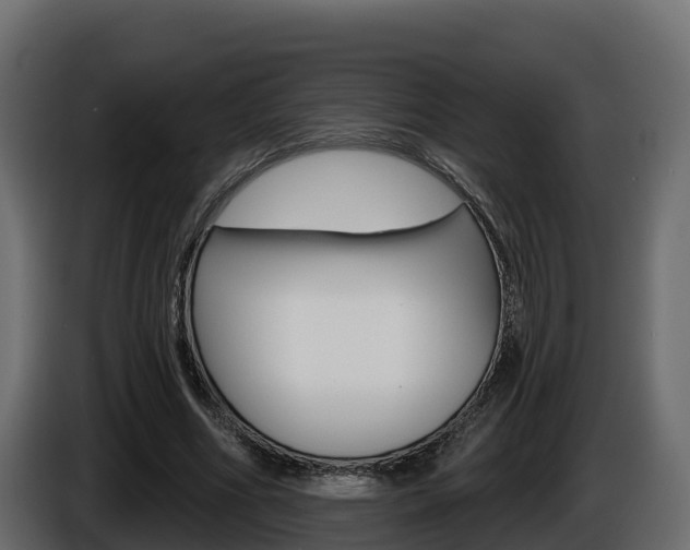 X0000086020586200703230934