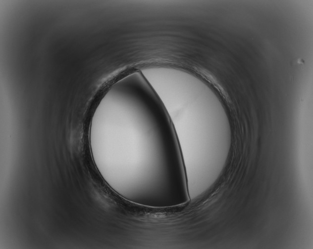 X0000086020588200703230934