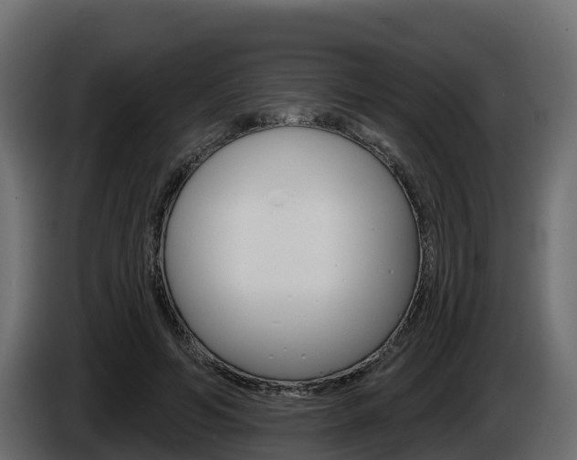 X0000086020594200703230934
