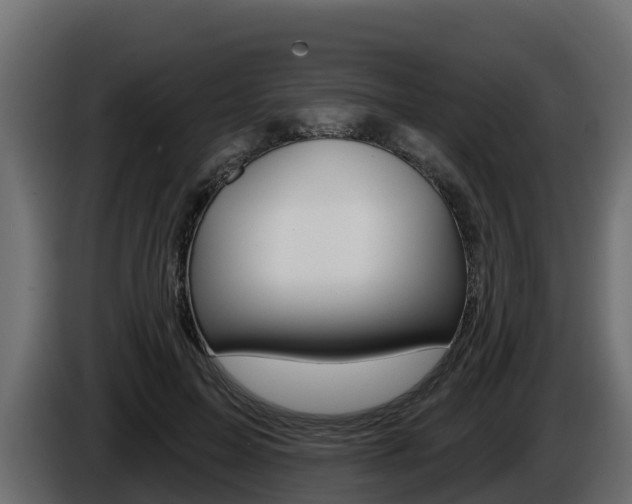 X0000086020599200703230934