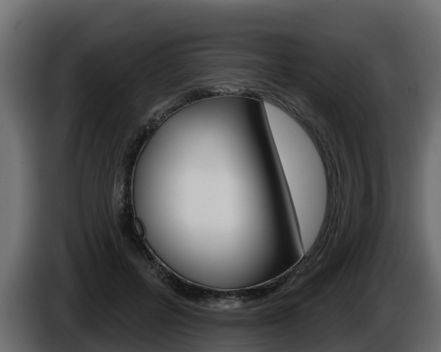 X0000086020600200703230934