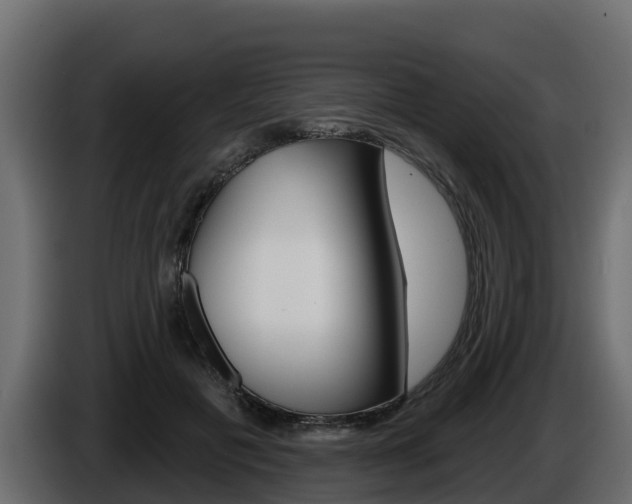 X0000086020601200703230934