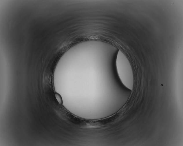 X0000086020603200703230934