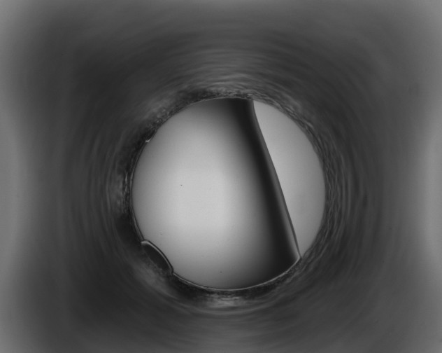 X0000086020605200703230934